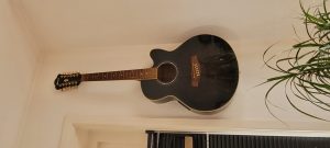Ibanez 12-snarige gitaar