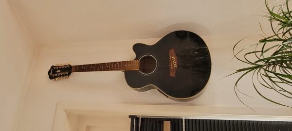 Geplaatst via plaatsformulier Ibanez12 snarige gitaar